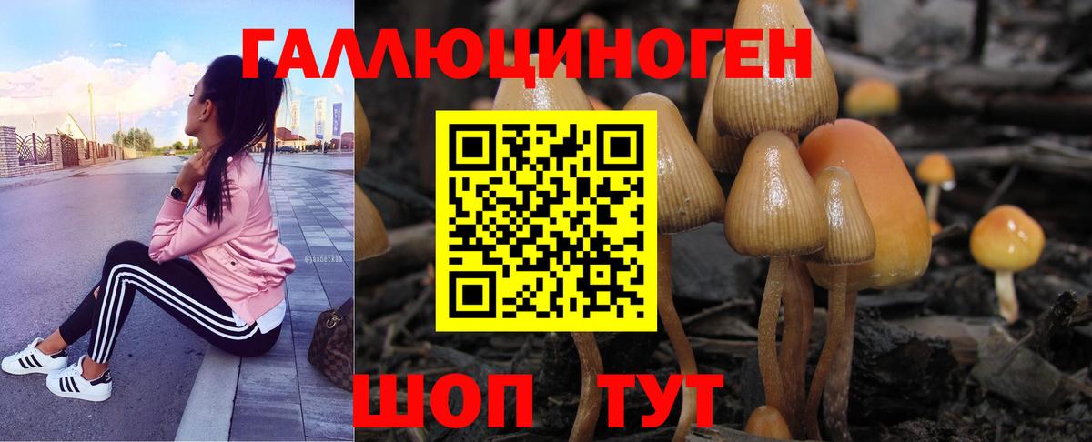Псилоцибиновые грибы Psilocybe Кулебаки
